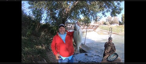 19 lb Flathead & a Nice Channel Cat – a Couple Nice Wipers from my friend Billy, 2 drum & a Crappie