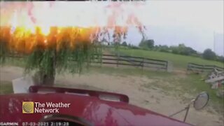 Camera rolls as lightning strikes tree only feet away