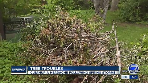 Homeowners struggle to get rid of tree limbs after spring storms