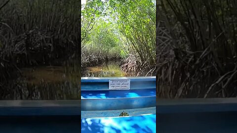 Tight fit and some SPEED through the mangroves!