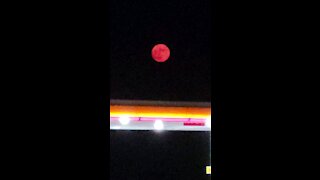 Blood moon