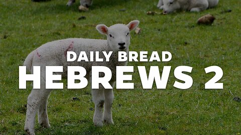 Daily Bread - Hebrews 2