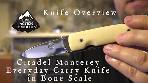 Citadel Monterey Everyday Carry Knife in Bone Scale