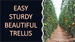 Easy, Sturdy, Portable, Beautiful, DIY Trellis for Your Garden