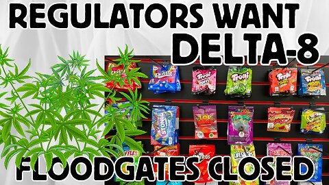 Delta-8 Dilemma: State Regulators vs. the Cannabis Loophole! 🔥🌿