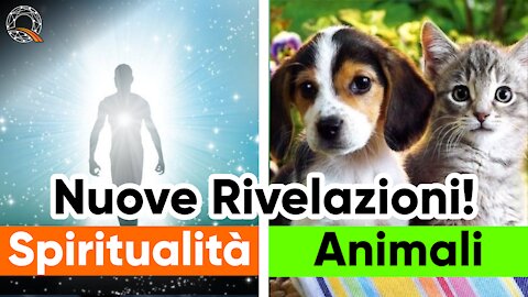 🐕 🐈 Animali e spiritualità: Nuove Rivelazioni!