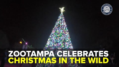 ZooTampa celebrates Christmas in the Wild | Taste and See Tampa Bay