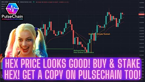 HEX Price Looks Good! Buy & Stake Hex! Get A Copy On PULSECHAIN Too!