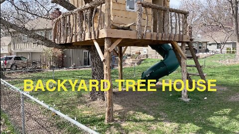 Backyard Tree House