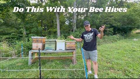 Do This One Thing to Protect Your Bees From Skunks