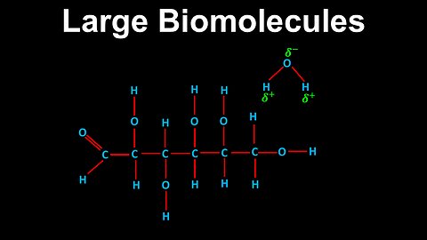 Large Biomolecules, Non-Covalent Interactions - AP Chemistry