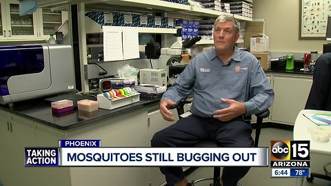 Record-setting rainfall leaves behind increased mosquito population around the Valley