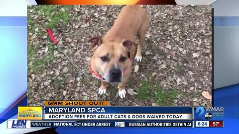 GMM Shoutout from MD SPCA