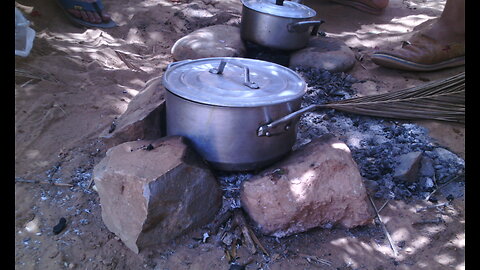 wild cooking