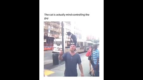 the cat is actually mind control guy