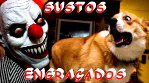 SUSTOS ENGRAÇADOS em CACHORROS e GATOS com Máscaras! Tente não rir