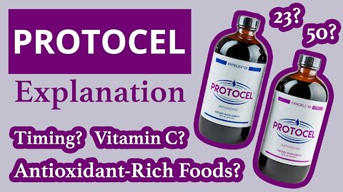 Protocel Explanation - Timing Protocol, Vitamin C, & Antioxidant-Rich Foods | Conners Clinic Cancer