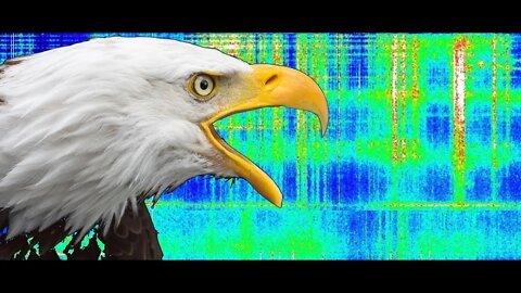 Schumann Resonance Feb 16 MAJOR SHIFTS and CHANGES Behind the Scenes