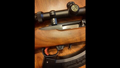 Ruger 10/22- With BX Trigger