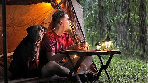 Gloomy SOLO Camping IN RAIN [ Relax, Sleep In A Cosy Tent | Comfort ASMR ]