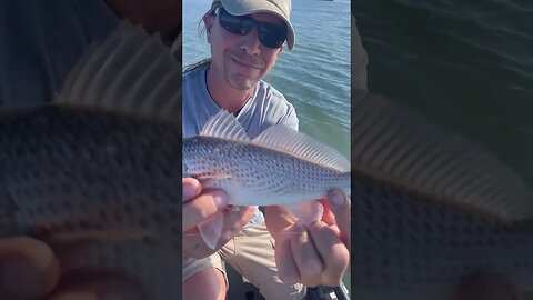 Marty's FIRST Texas Redfish! @zoffinger #boatlife #shorts