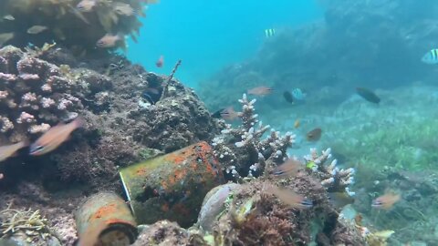 Old rusty cans lying on the corals under the sea with fishes