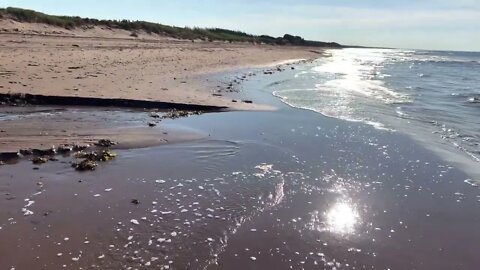 Running Around Brackley Beach PEI