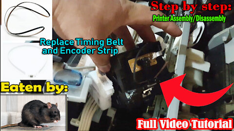 EPSON L220 210 Timing Belt and Encoder Strip Replacement | How to Disassemble and Assemble Printer