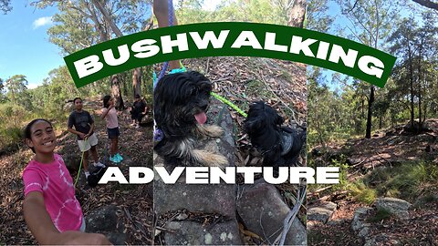 Bushwalk Adventure! | *Pups 1st time*