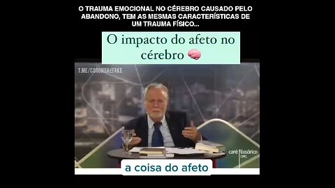 A falta de afeto altera o comportamento cerebral?