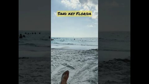 Sand Key Florida #shorts #floridabeaches #floridastateparks #beachday