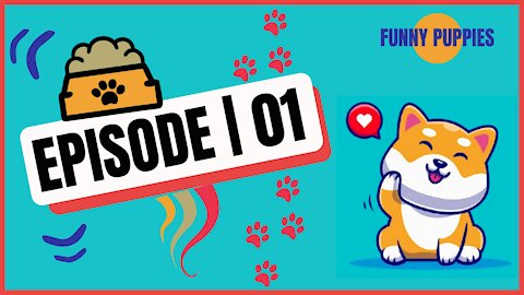 Funny Puppies 🐶 | EP.1