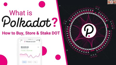 Polkadot Tutorial for Beginners: How to Buy, Store & Stake PolkaDot DOT Tokens