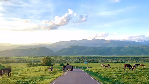 Let's gallop on the grassland together