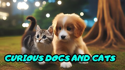 Curious Dogs and Cats: Adorable Moments Caught on Camera!