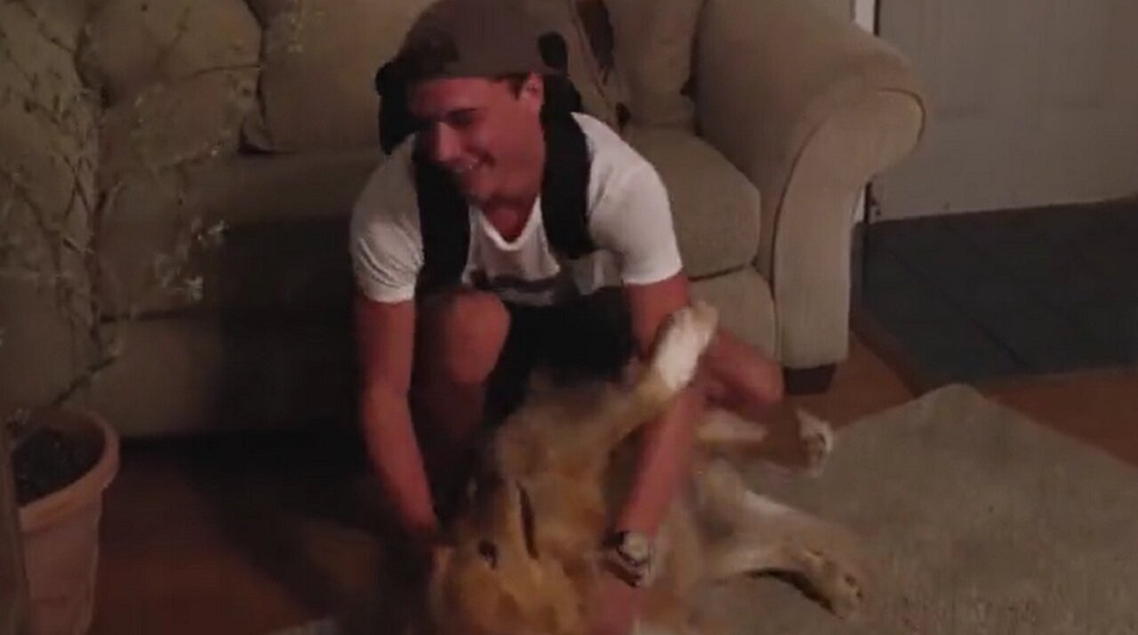 Dogs reunite with their owners after being away