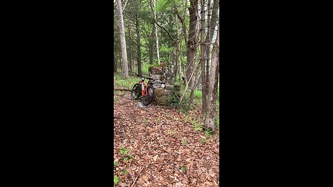 Deep in the woods ￼Found a chimney by the Delaware river