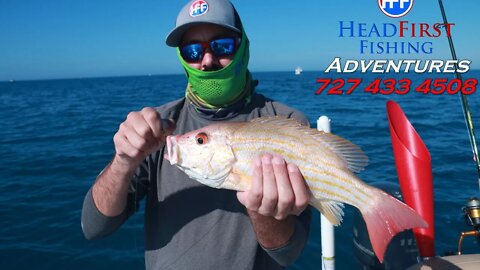 Lets Talk Snapper Fishing!! Snapper fishing livestream