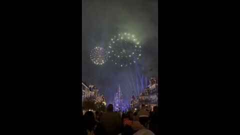 Disney fireworks