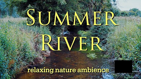 Summer River | Calming Water Sounds | Relaxing Nature Ambience | For 3 Hours