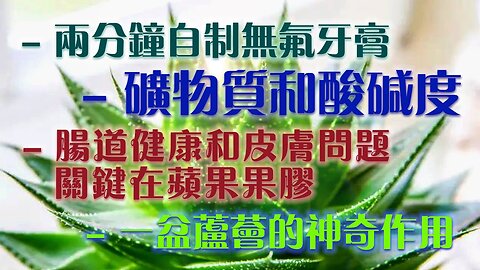 DIY天然無氟牙膏、礦物質和人體酸鹼度的關係、蘋果果膠對腸道健康和皮膚問題的關係、天然空氣潔淨機 - 蘆薈小盆栽 ......