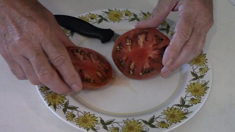 Boronia Dwarf Tomatoes - One of My Favorite Tomatoes