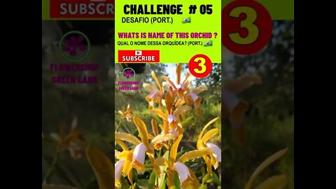 CHALLENGE # 05 |WHAT IS THE NAME OF THIS ORCHID? YOU WANT TO LEARN? # SHORT