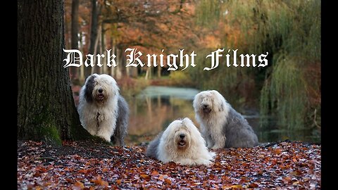 (Dark Knight) Three Dog Night - Mama Told Me (Not To Come)