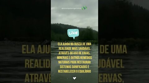 Entenda a Naturopatia