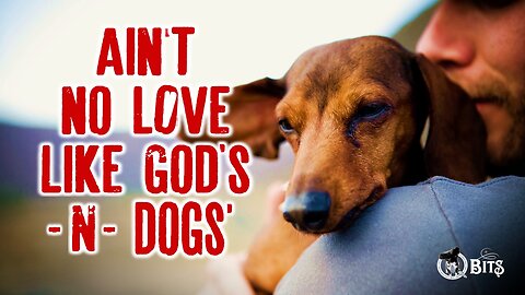 #905 // AIN'T NO LOVE LIKE GOD'S & A DOGS' - LIVE