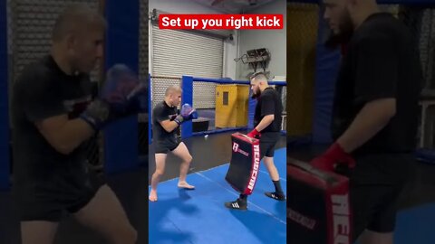 Muay Thai pad work Focus Mitt Kicking Shield