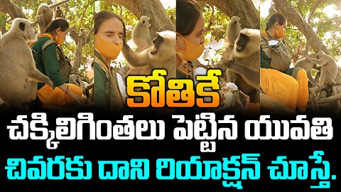 కోతికే చక్కిలిగింతలు పెట్టిన యువతి..చివరకు దాని రియాక్షన్ చూస్తే..! #monkey #viralvideo | FBTV NEWS