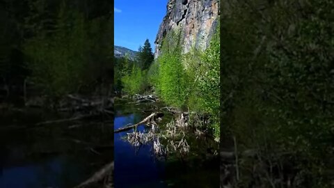 Spring Morning over a Frog Pond at the base of a face of Okanagan Mountain