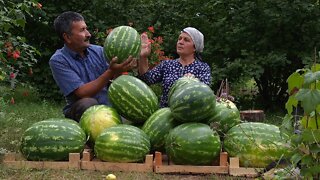 Canning Watermelon Juice For The Winter, Outdoor Cooking